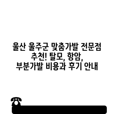 9 resized 2