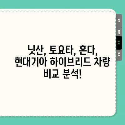 62 resized 3