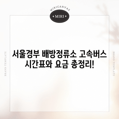 93 resized 2