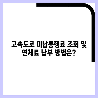 81 resized 3