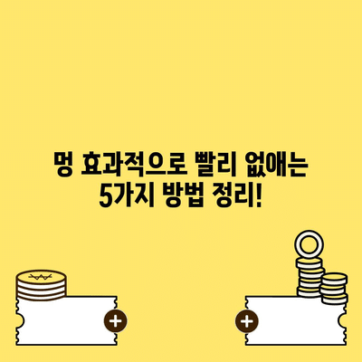 91 resized 1
