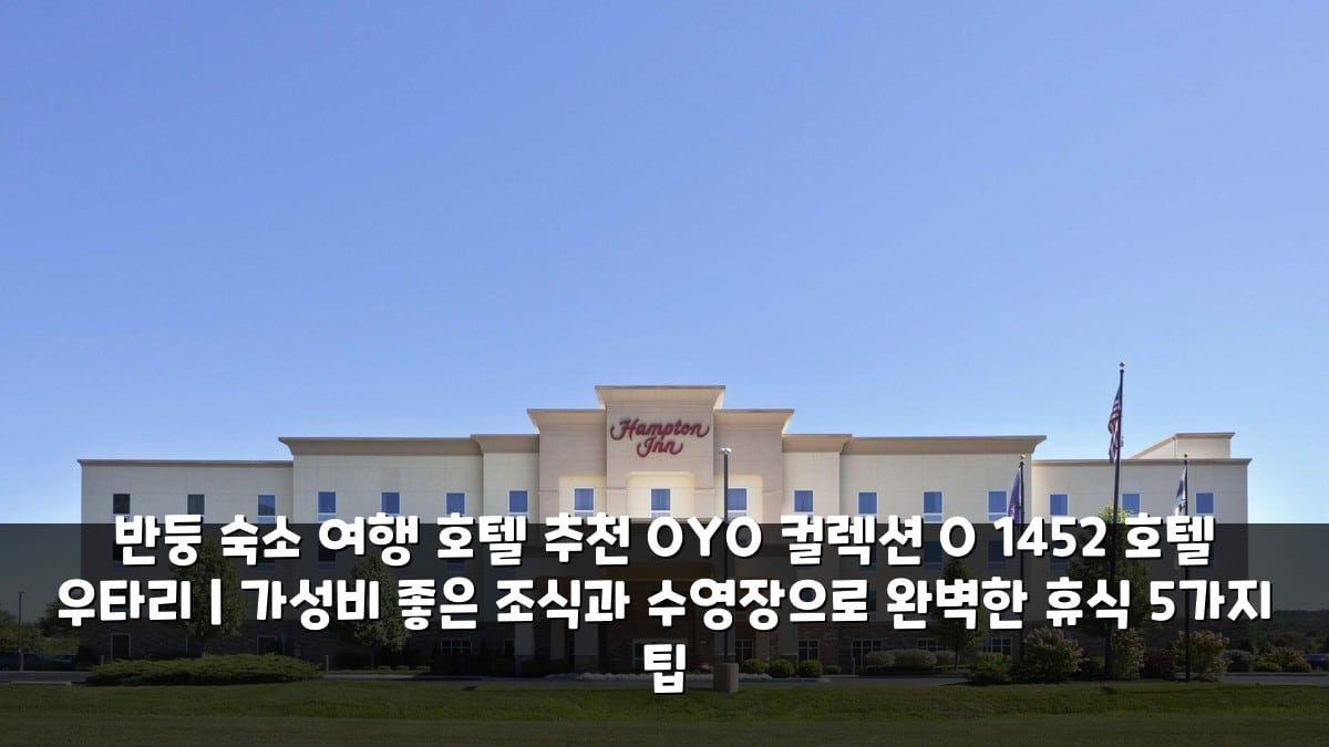 image 20250614093922 ecc34ef0