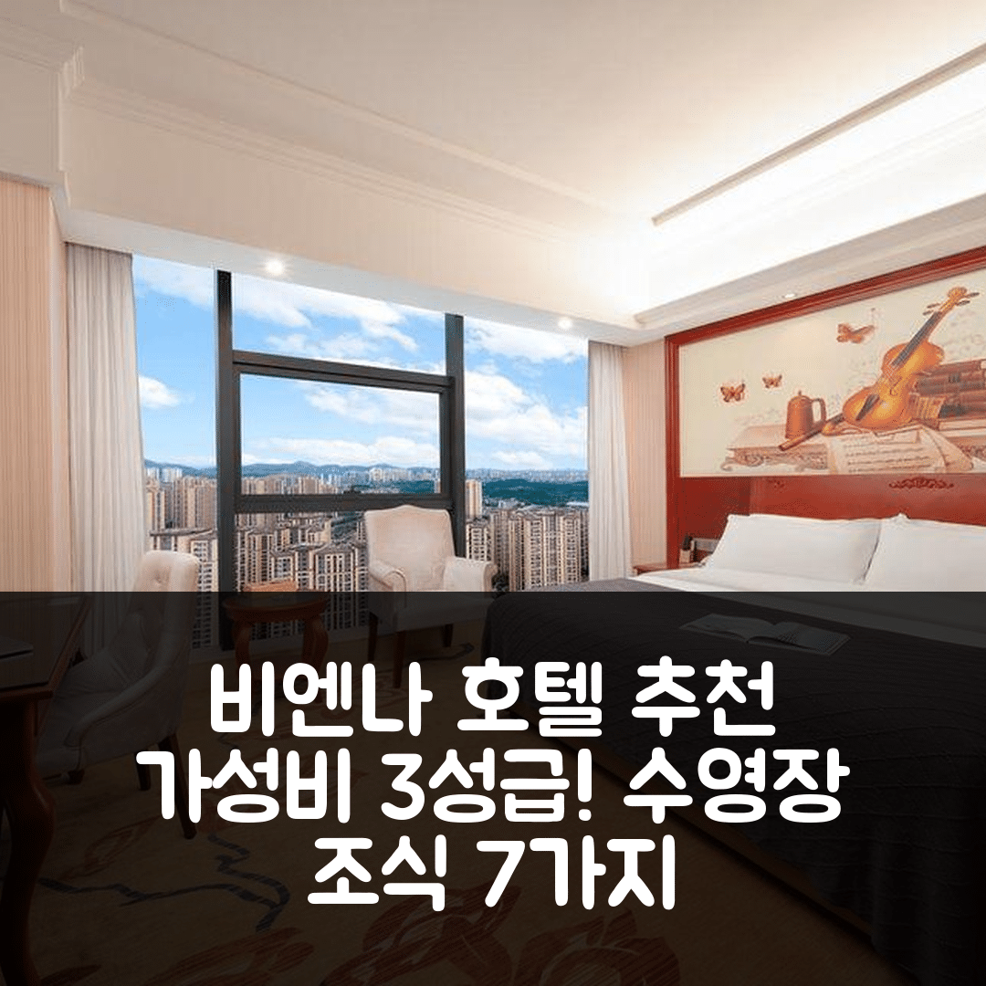 쭌이 숙소 여행 호텔 추천 비엔나 호텔 귀주 쭌이 신포 일월 성천 | 가성비 뛰어난 3성급 조식과 수영장 정보 7가지