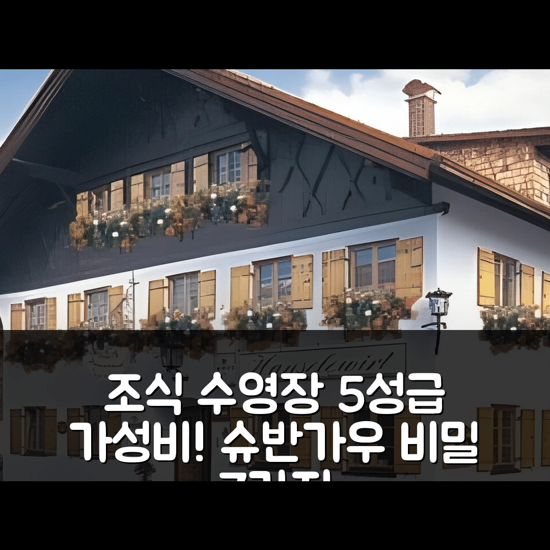 슈반가우 숙소 여행 호텔 한스레버트 | 조식과 수영장, 5성급 가성비 비밀 7가지