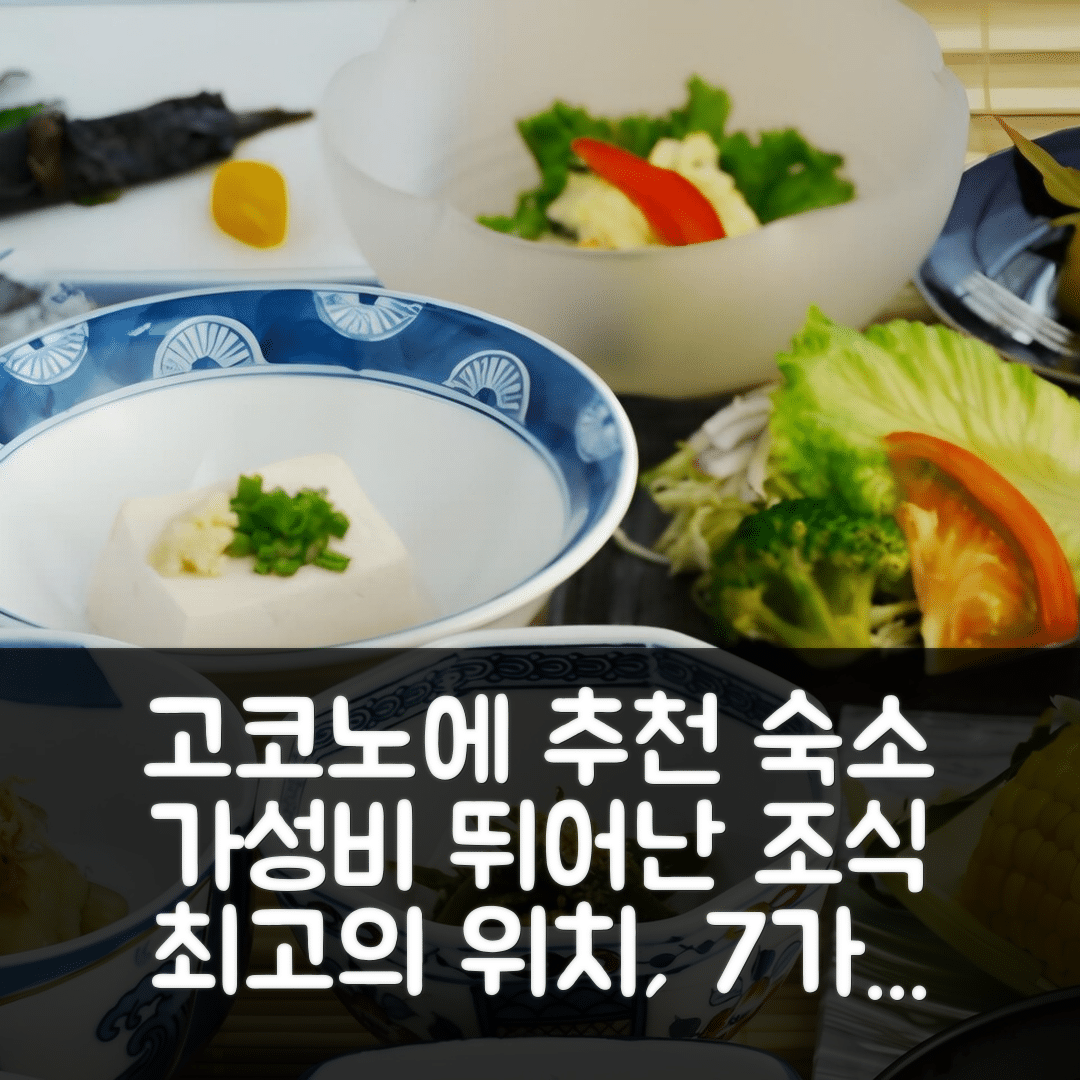 고코노에 숙소 여행 호텔 추천 우에노야 료칸 | 가성비 뛰어난 조식과 최고의 위치 7가지 이유