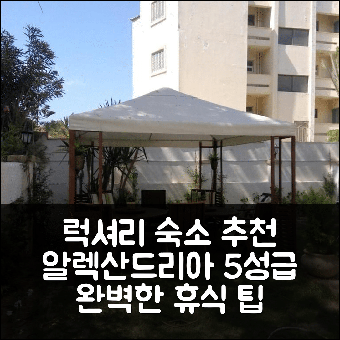알렉산드리아 숙소 여행 호텔 추천 럭셔리 마무라 아파트 | 5성급 수영장과 조식이 포함된 휴식의 완벽한 7가지 팁