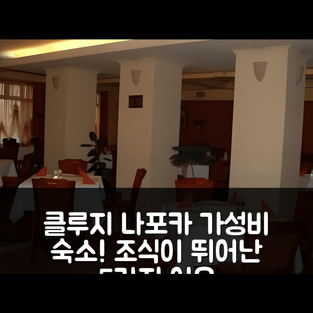 클루지 나포카 숙소 여행 호텔 빅토리아 | 가성비와 조식이 뛰어난 5가지 이유