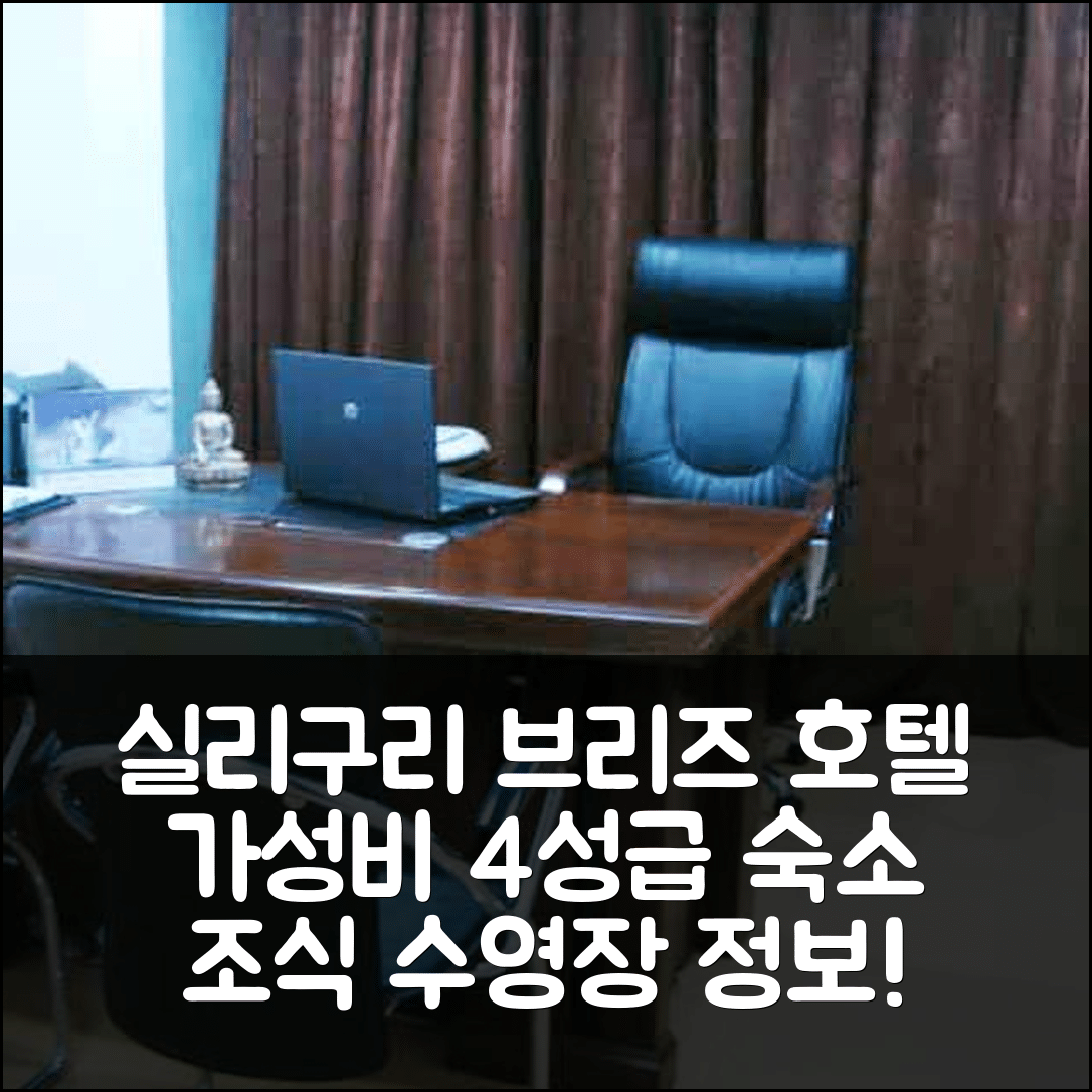 실리구리 숙소 여행 호텔 추천 브리즈 호텔 | 가성비 뛰어난 4성급 조식과 수영장 정보 5가지