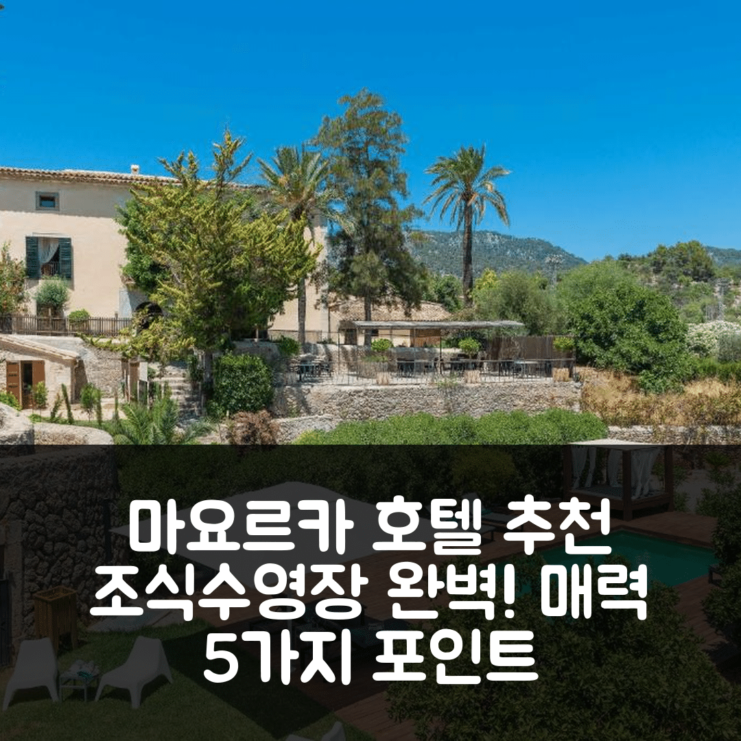 마요르카 숙소 여행 호텔 추천 투리샨트 호텔 | 조식과 수영장으로 즐기는 5가지 매력 포인트