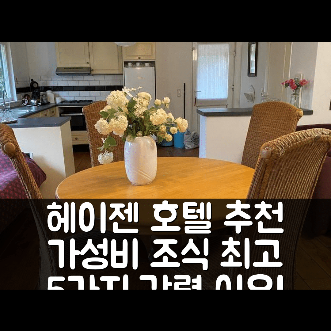 헤이젠 숙소 여행 호텔 추천 드 헤이엔세 몰렌 레트로 캠핑 | 가성비 가격과 조식 및 위치가 뛰어난 5가지 이유