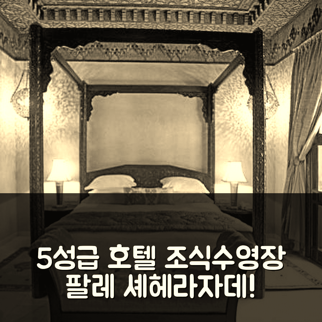페스 숙소 여행 호텔 추천 팔레 셰헤라자데 앤 스파 | 5성급 조식과 수영장이 매력적인 7가지 이유