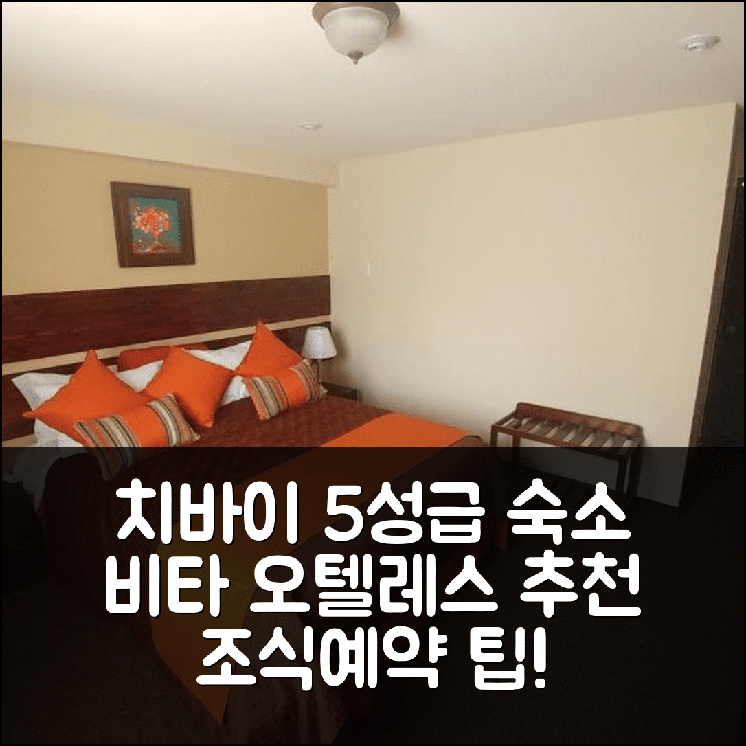 치바이 숙소 여행 호텔 추천 비타 오텔레스 콜카 | 가성비 뛰어난 5성급 조식과 예약 팁 7가지