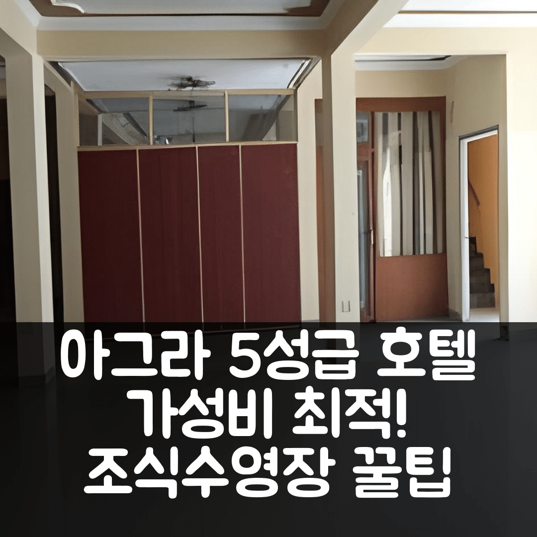 아그라 숙소 여행 호텔 추천 호텔 비렌 인터내셔날 | 가성비 뛰어난 5성급 조식과 수영장 정보 7가지