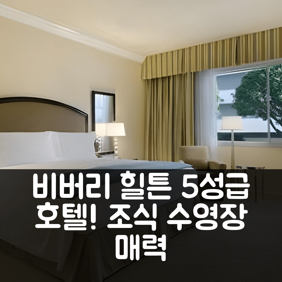 로스앤젤레스 숙소 여행 호텔 추천 더 비버리 힐튼 호텔 | 5성급 조식과 수영장, 가성비 뛰어난 7가지 매력