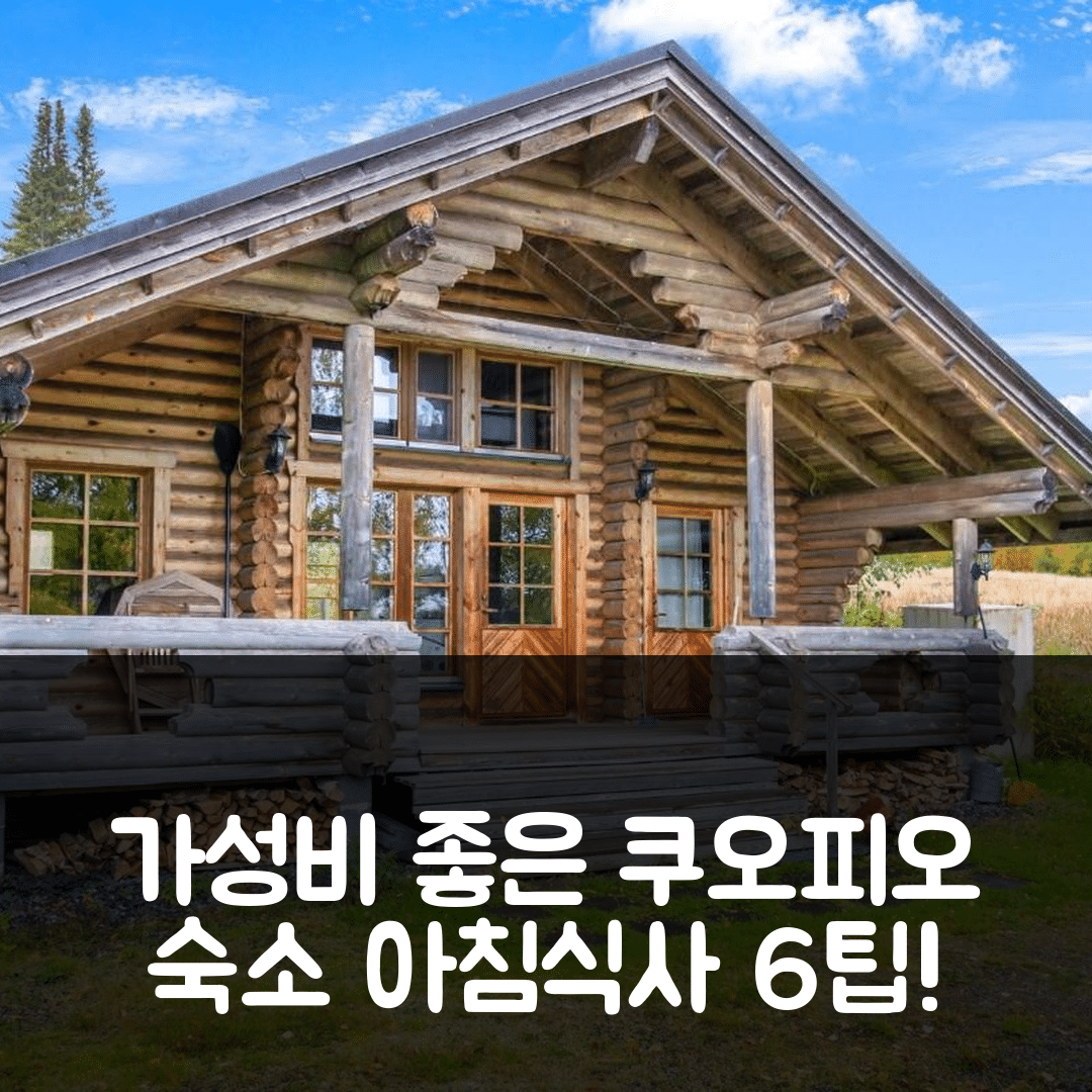 쿠오피오 숙소 여행 호텔 추천 홀리데이 홈 히르본모끼 | 가성비 좋은 위치와 조식 정보 6가지 팁