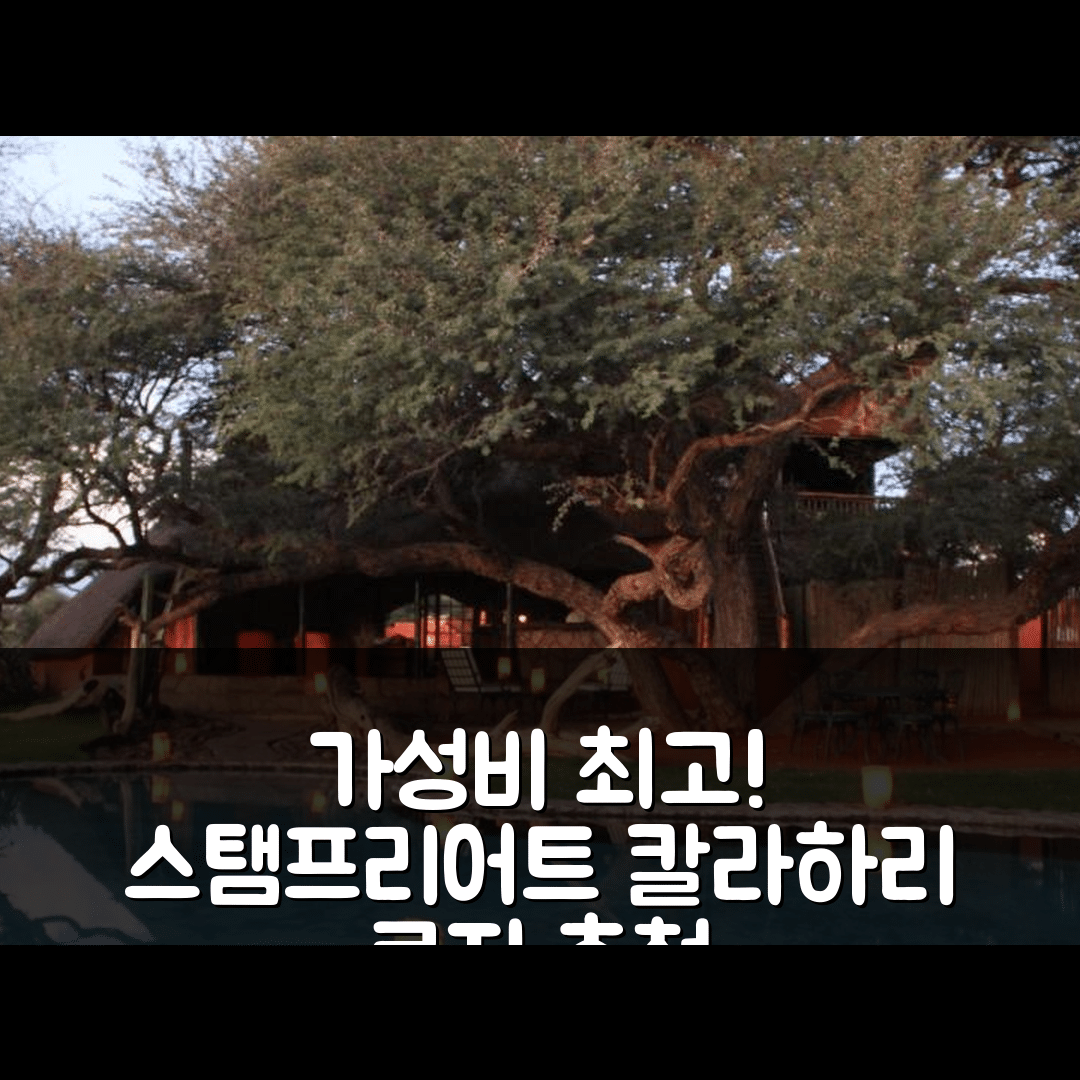 스탬프리어트 숙소 여행 호텔 추천 카멜손 칼라하리 로지 | 최고의 가성비와 조식 옵션 5가지 안내