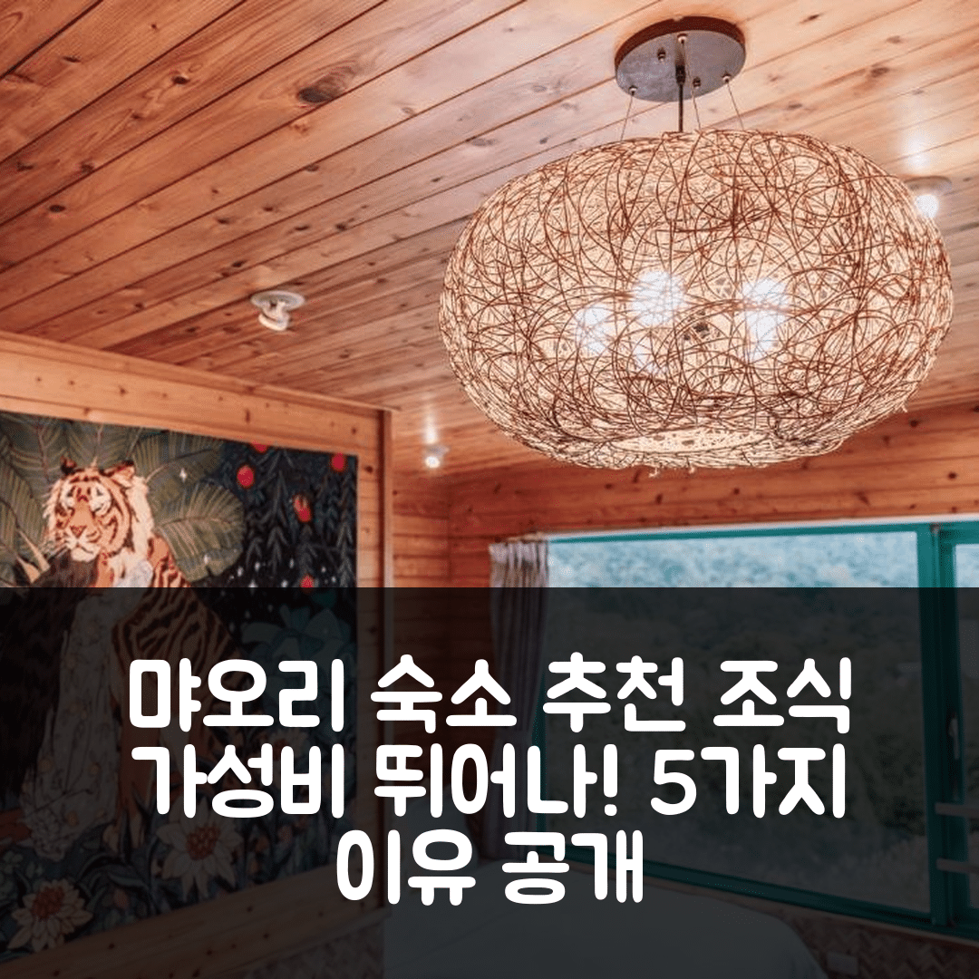 먀오리 숙소 여행 호텔 추천 남장관람수 카페 민숙 | 조식과 가성비 뛰어난 5가지 이유