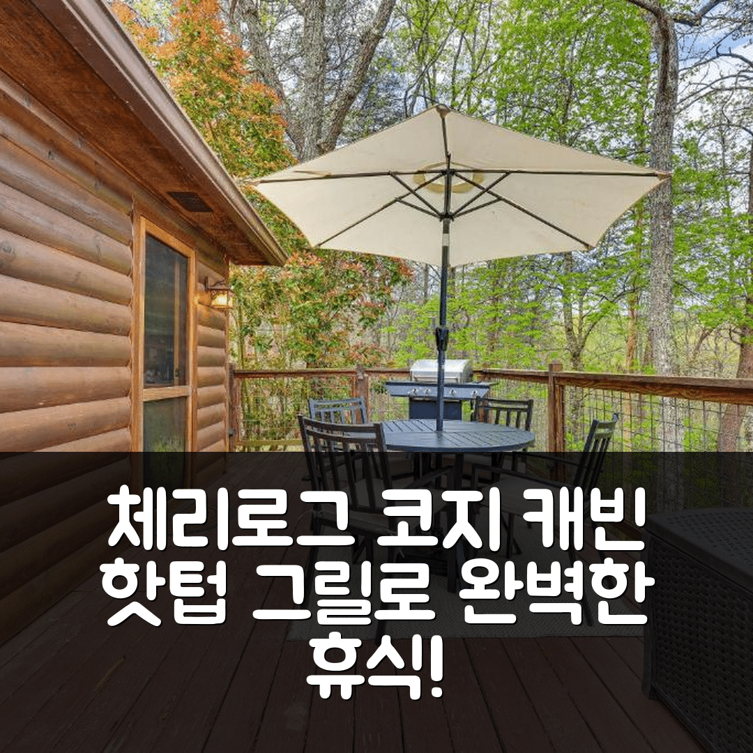 체리로그 숙소 여행 코지 캐빈 호텔 | 핫텁과 그릴이 있는 프라이빗 위치에서의 완벽한 휴식 5가지 이유