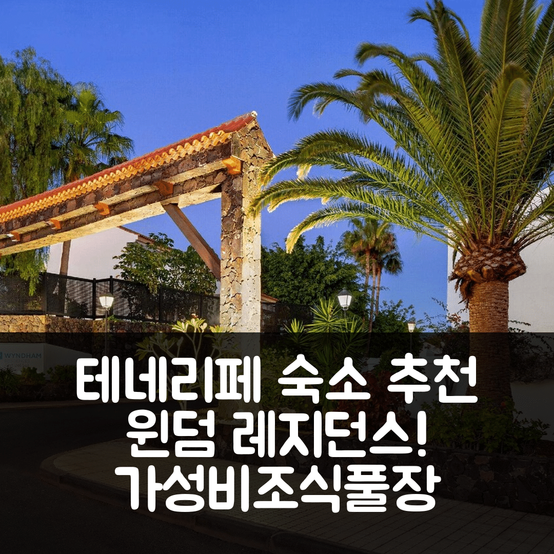 테네리페 숙소 여행 호텔 추천 윈덤 레지던스 테네리페 골프 델 수르 | 가성비와 조식, 수영장 완벽 조화 5가지 이유