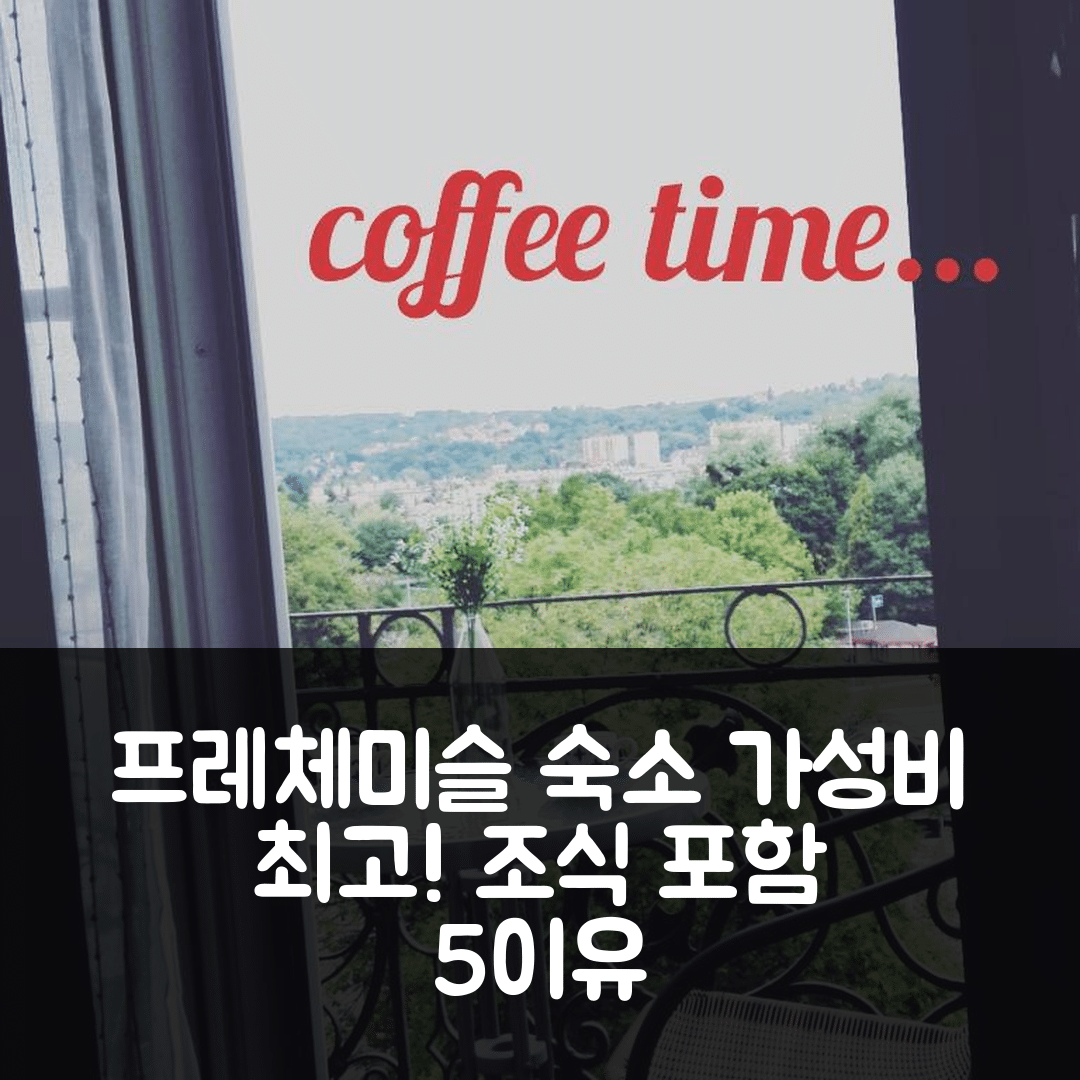 프레체미슬 숙소 여행 호텔 추천 호스텔 라이크홈 | 가성비 높은 위치와 조식으로 완벽한 5가지 이유