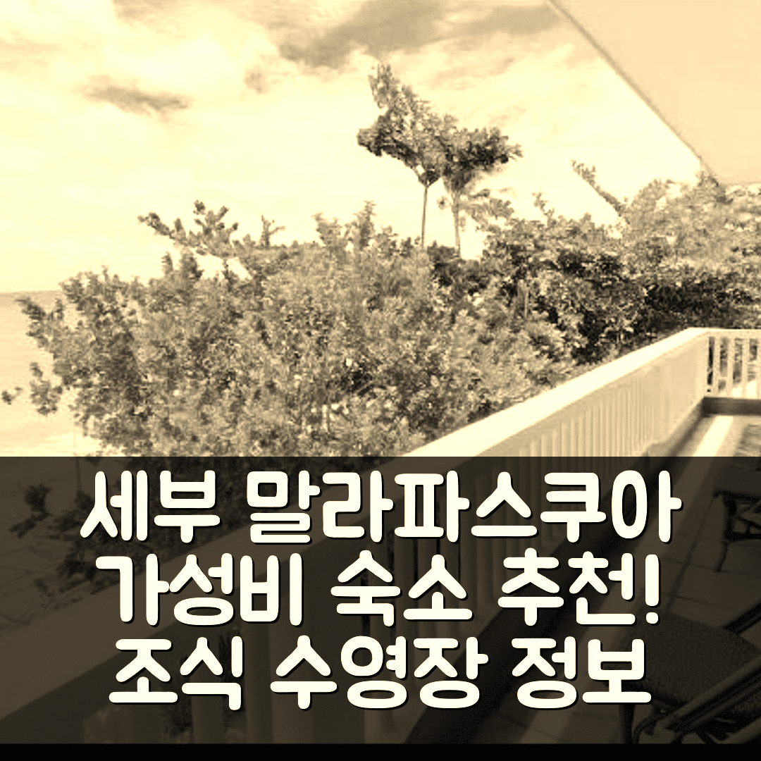 세부 숙소 여행 호텔 추천 말라파스쿠아 비치 앤 다이브 리조트 | 가성비 좋은 조식과 수영장 정보 7가지