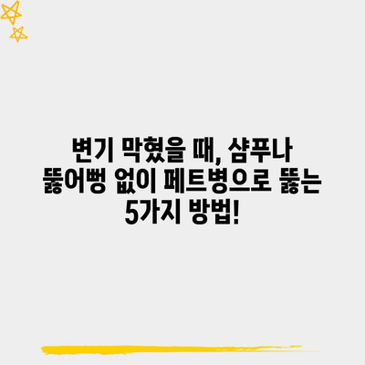 27 resized 1